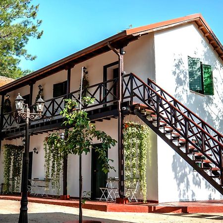 Pine View Boutique Hotel Adults Only Saittas 외부 사진