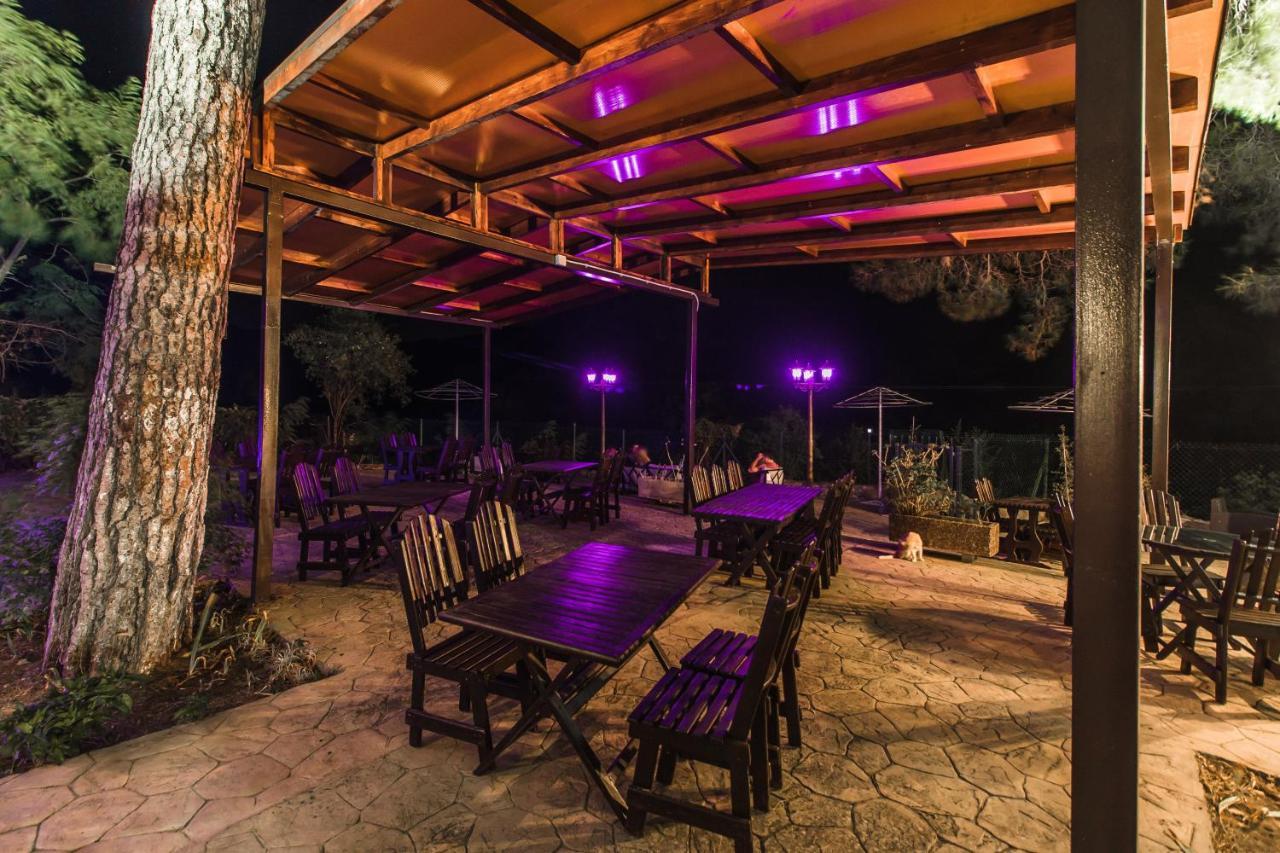 Pine View Boutique Hotel Adults Only Saittas 외부 사진